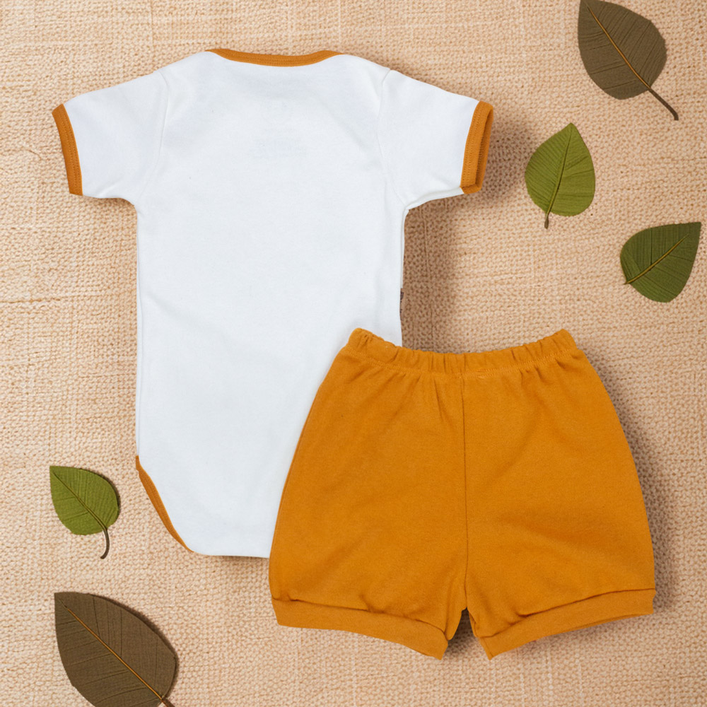 Conjunto Curto Bebê Estampa Leãozinho Saf...